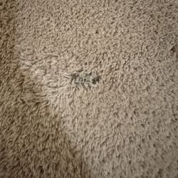 The Cleaning Authority - Duluth