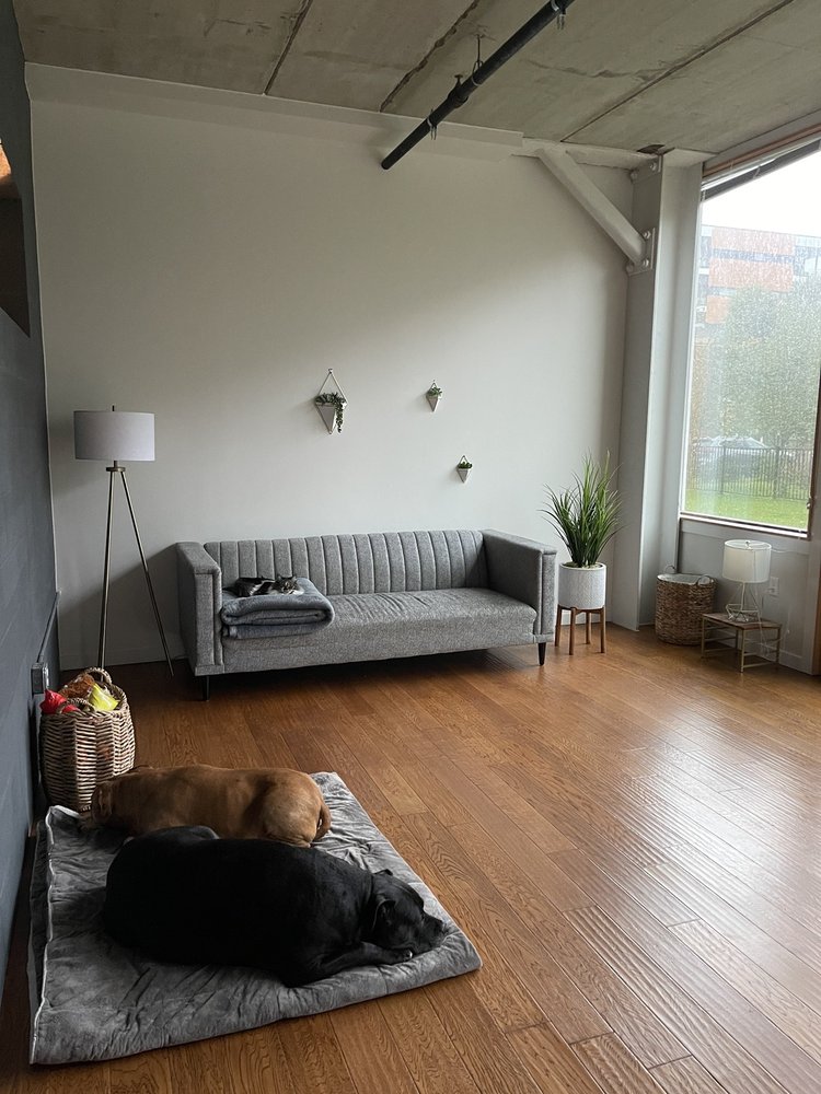 CAYUGA LOFTS Updated October 2024 217 S Cayuga St, Ithaca, New York