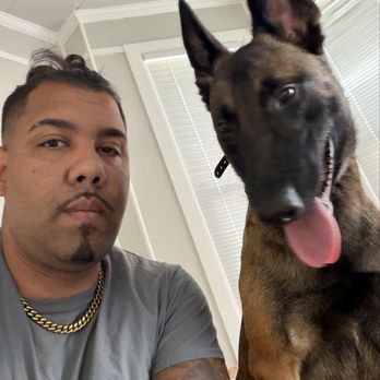 Ridgeside K9 Winchester - Pet Training Near Me - Winchester, Virginia Ridgeside K9 Winchester - Pet Training Near Me - Winchester, Virginia