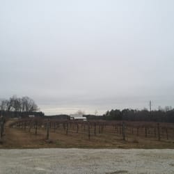 The Fruithurst Winery Co - Vineyards at The Fruithurst Winery Company