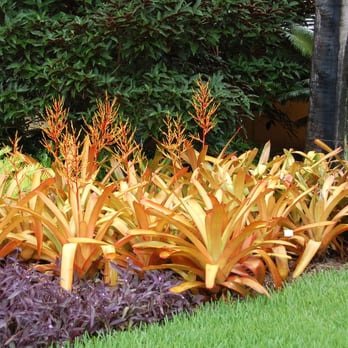 Green Team Solutions - Landscaping Near Me - Wellington, Florida