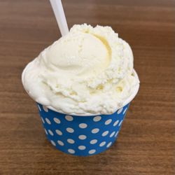 Coconut Ice Cream - So creamy and delicious!