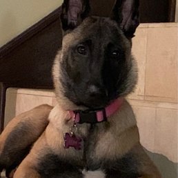 Xena
