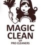 Photo of Magic Clean VP