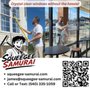 Photo of Squeegee Samurai