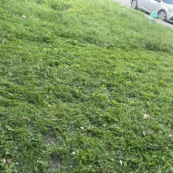 Keeping It Green - Landscaping Near Me Keeping It Green - Landscaping Near Me