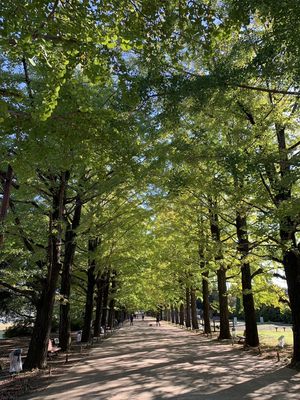 Showa Kinen Park by null