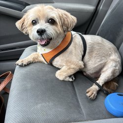 EarthWise Pet Liberty