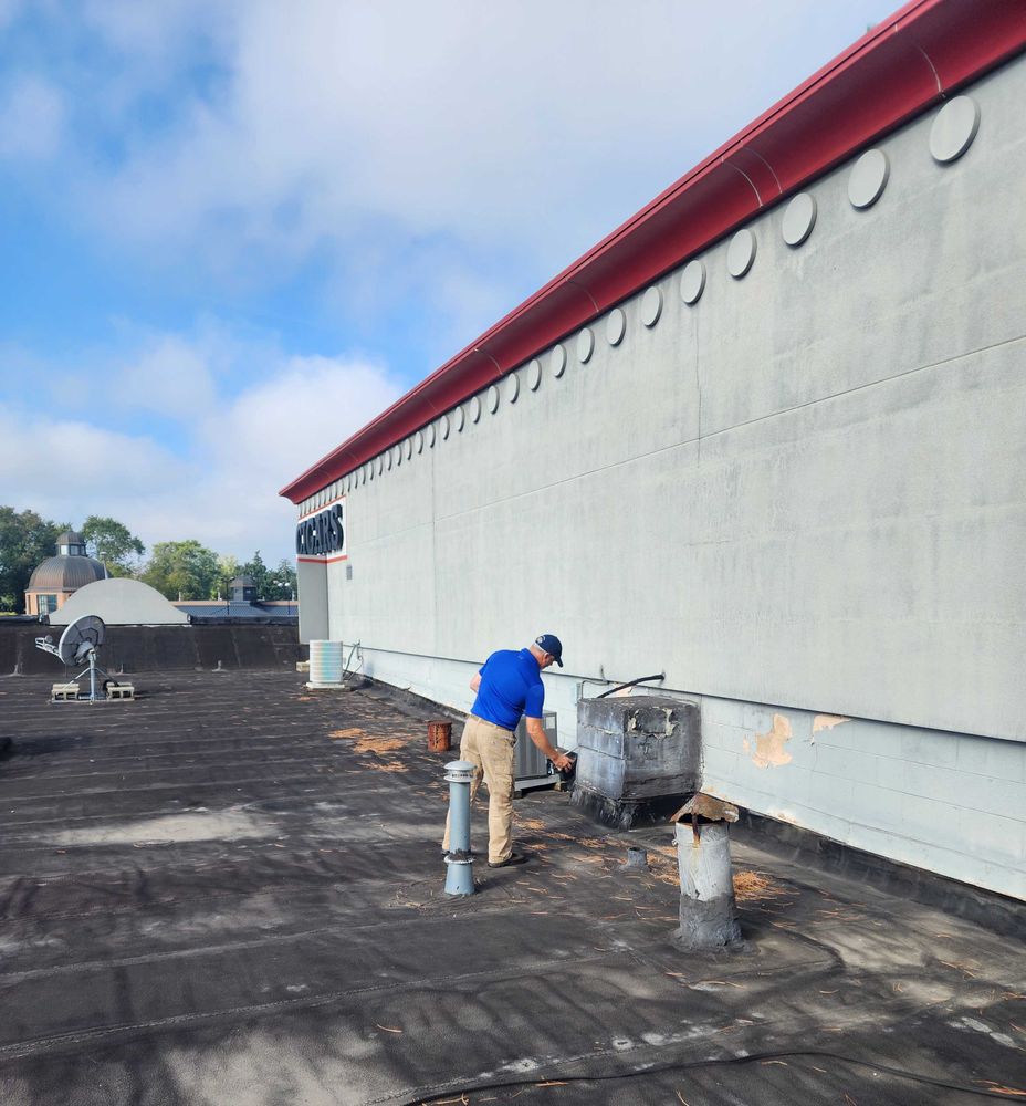 Total House Inspection - mold inspector in Rochester Hills, MI