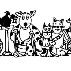 Hillside Pet Clinic