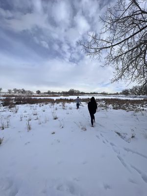 Rocky Mountain Arsenal National Wildlife Refuge by null