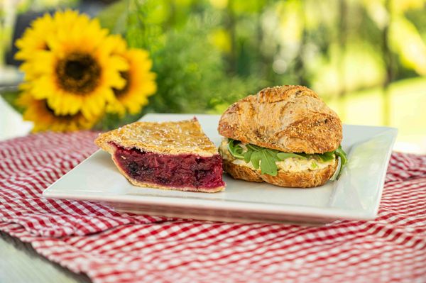 Davison Orchards by null