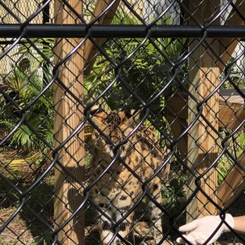 Panther Ridge Conservation Center - Zoos Near Me - Loxahatchee, Florida Panther Ridge Conservation Center - Zoos Near Me - Loxahatchee, Florida