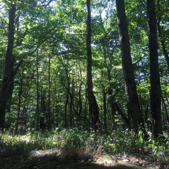 Saxon Woods Park - Parks Near Me - White Plains, New York Saxon Woods Park - Parks Near Me - White Plains, New York