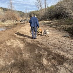 Mesquite Wash Trail