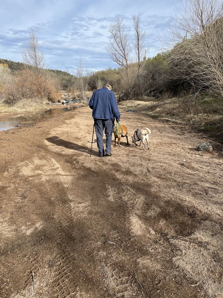 Mesquite Wash Trail Logo