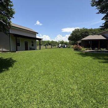 Vibrant Green - 2026 yard with the help of Vibrant Green!! - Lawn Services Near Me Vibrant Green - 2026 yard with the help of Vibrant Green!! - Lawn Services Near Me
