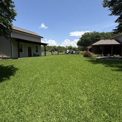 Vibrant Green - 2026 yard with the help of Vibrant Green!!