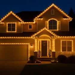 L&D Christmas Lights