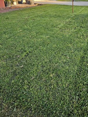 detailed lawn and weed cutting project - Lawn and weed cutting: you can see the results of a good job. You can contact me to see your amazing garden. detailed lawn and weed cutting project - Lawn and weed cutting: you can see the results of a good job. You can contact me to see your amazing garden.