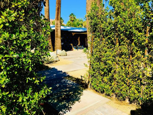 Palm Springs Mod Squad (Architecture Tours) by null