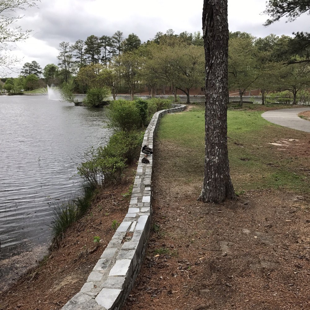 Briscoe Park - More scenery. - Parks Near Me - Snellville, Georgia Briscoe Park - More scenery. - Parks Near Me - Snellville, Georgia