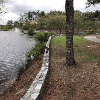 Briscoe Park - More scenery. - Parks Near Me - Snellville, Georgia