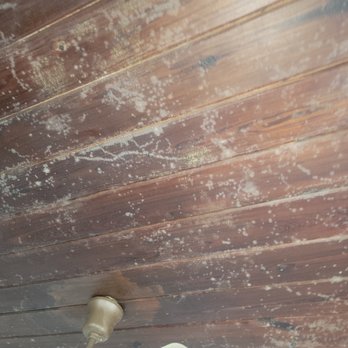 Dirty Deeds - Before - Pressure Washers Near Me Dirty Deeds - Before - Pressure Washers Near Me