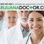 Photo of Marijuana Doctor