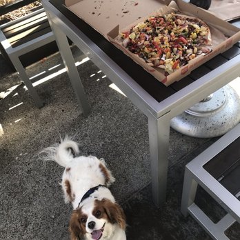 MOD Pizza - Dog friendly pizza place - Fast Food Near Me - Castro Valley, California MOD Pizza - Dog friendly pizza place - Fast Food Near Me - Castro Valley, California