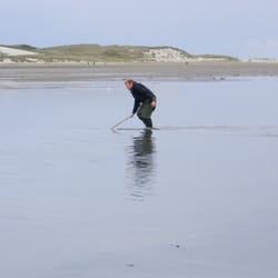 Amrum Touristik - Wattführer Steffen beim Krabbenfang mit dem Gliep.