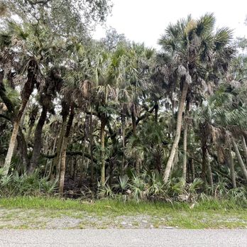 Myakka River State Park - Parks Near Me - Sarasota, Florida Myakka River State Park - Parks Near Me - Sarasota, Florida