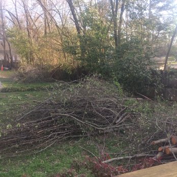 Eastern Tree & Construction - Nice, right? NOT - Tree Services Near Me - Birmingham, Alabama