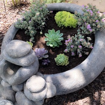 Gonzalez Nursery - Nurseries & Gardening Near Me - Monrovia, California