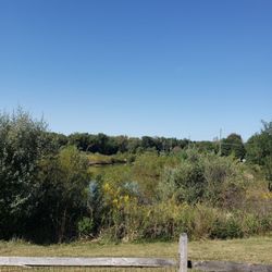 Duck Pond Park - Field