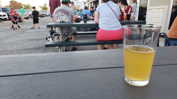 Bluebonnet Beer Company by null