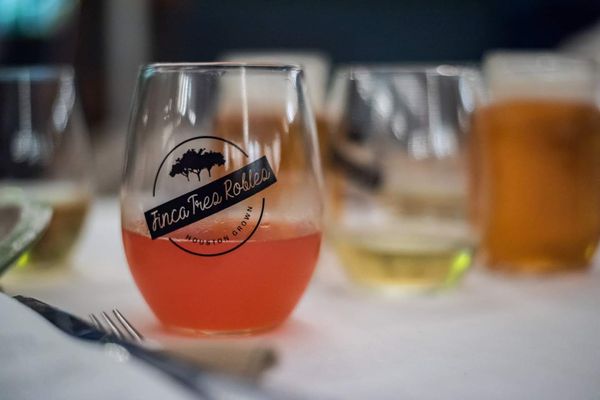 Finca Tres Robles by null