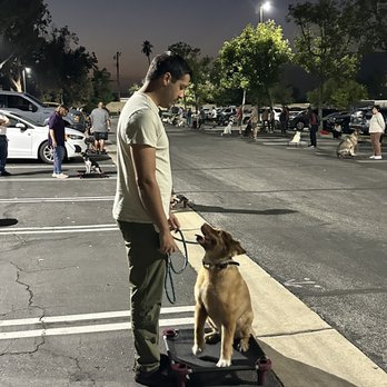 Sit Means Sit San Gabriel Valley - Pet Training Near Me - Glendora, California