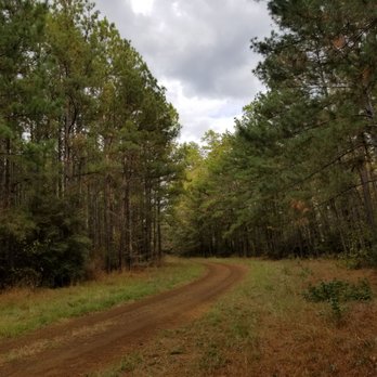 Sabine National Forest - Hiking Near Me - Hemphill, Texas Sabine National Forest - Hiking Near Me - Hemphill, Texas