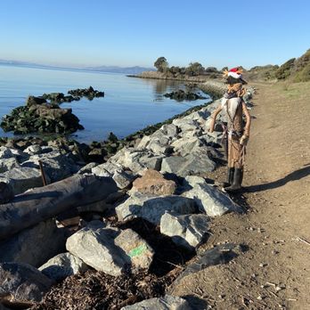 Albany Bulb - Landmarks & Historical Buildings Near Me - Albany, California