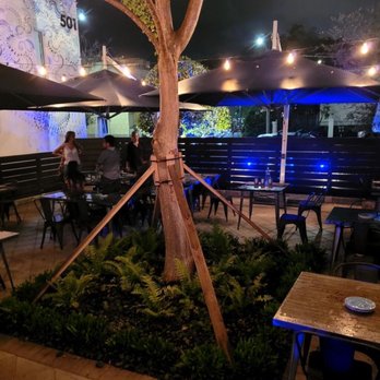 Fern - New American Near Me - West Palm Beach, Florida