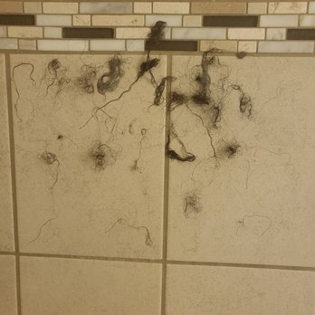 Mery Mi Salon - Hair continuously is falling out every time I wash my hair, it's a month later now - Hair Salons Near Me - Charlotte, North Carolina Mery Mi Salon - Hair continuously is falling out every time I wash my hair, it's a month later now - Hair Salons Near Me - Charlotte, North Carolina