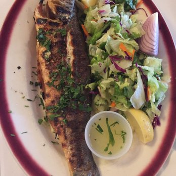 Taci's Beyti - Turkish Near Me - Brooklyn, New York Taci's Beyti - Turkish Near Me - Brooklyn, New York