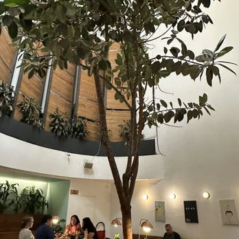 Blend Station - Coffee & Tea Near Me - Ciudad de México, DIF