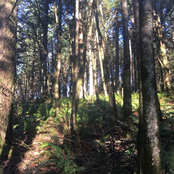 Mount Talbert Nature Park - Parks Near Me - Clackamas, Oregon
