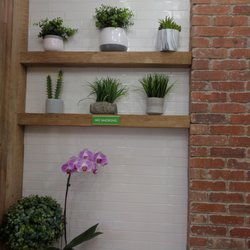 Oshi's Cafe - Western wall decorations