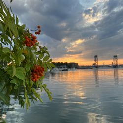 Four Tree Island - The Memorial Bridge from Four Tree Island