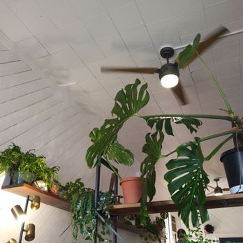 Bits Cafe - Coffee & Tea Near Me - Olympia, Washington