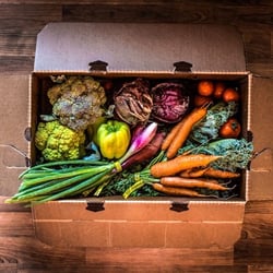 First Light Farm - A Farm Share CSA box
