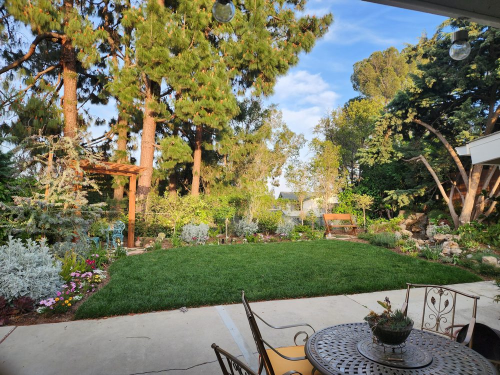 MYSTIC WATER GARDENS Updated August 2024 19 Photos & 17 Reviews